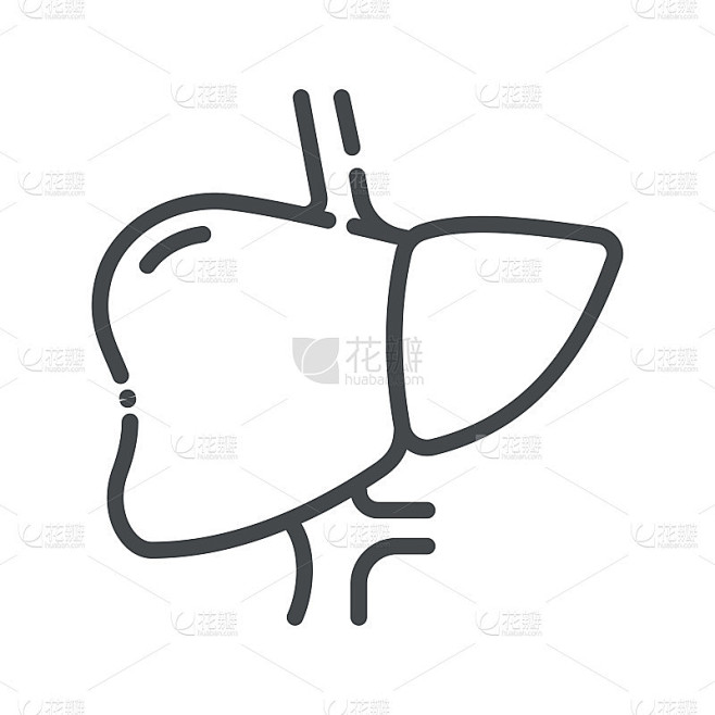 人体肝脏侧视图线条图标。医疗孤立的象征