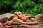 荔枝,特写,褐色,水平画幅,水果,果树,篮子,东方食品,甜食,红色