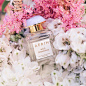 EstéeLauder的Instagram主页(@esteelauder) -  veryins.com