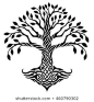 Vector illustration, decorative celtic tree of life, black and white graphics