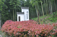 小野菊子采集到M-美丽乡村改造