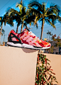 Adidas ZX Flux - STEPHANIE GONOT PHOTO
