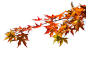 697a18a215a3a0f3607f2f5c593c2ead93630c6ed746c-jsaOSp