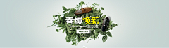 -拉丁尔的秘密_采集到详情页