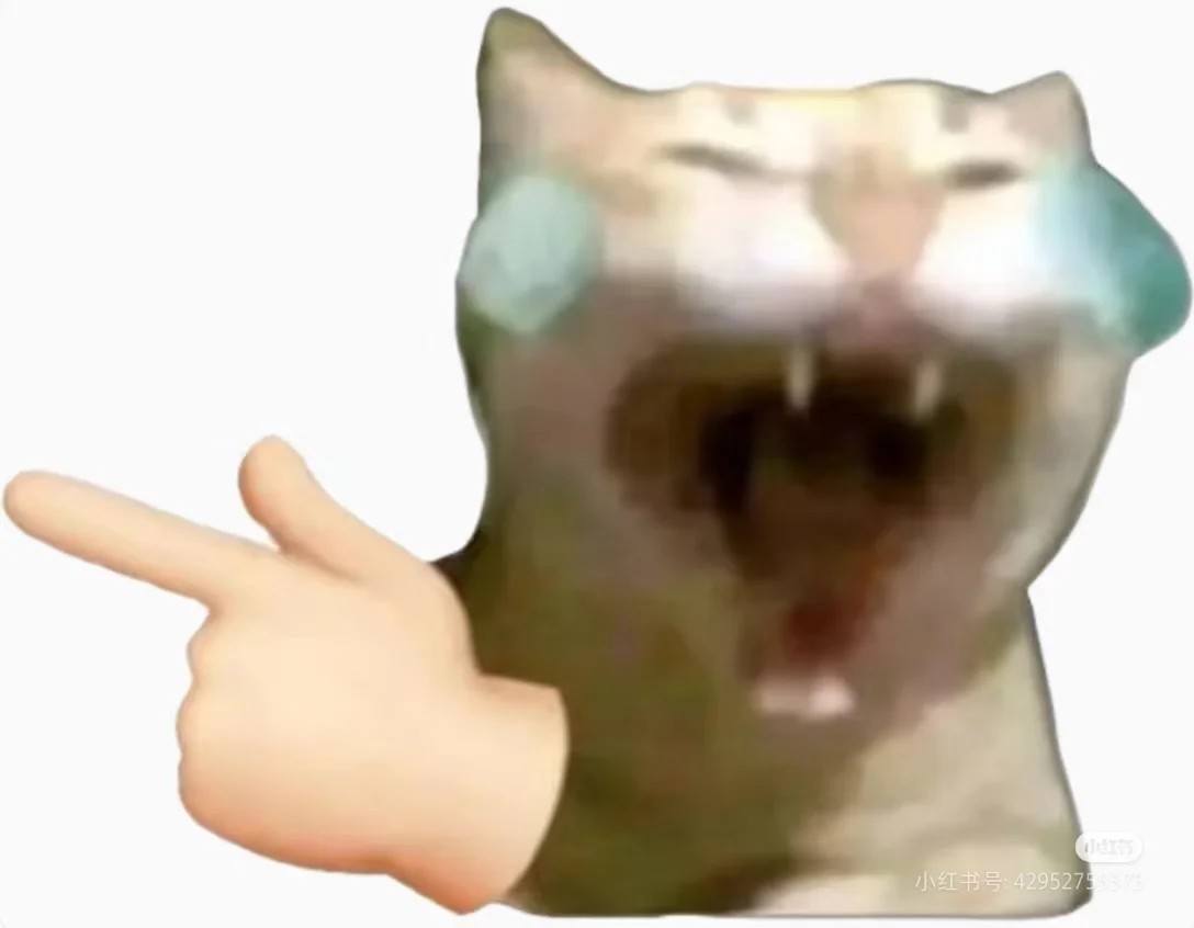 猫meme表情包都在这里了- 小红书