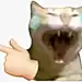 猫meme表情包都在这里了 - 小红书