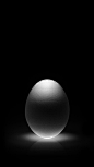 Still life image of an Egg - stock photo