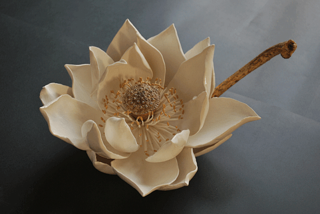 #朴陶# 杉浦康益的花系列陶艺。