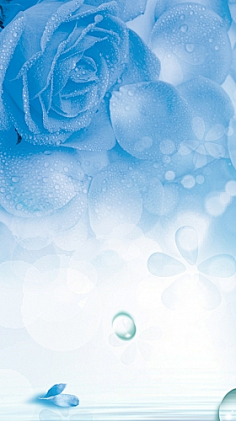 绿箭!喜欢的图片_花瓣网