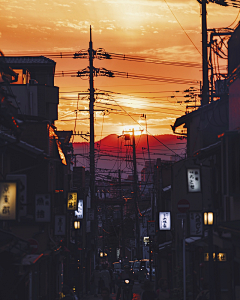 Yellow-col采集到日本