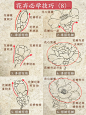国画入门｜花卉必学技巧（8）简单好学‼️