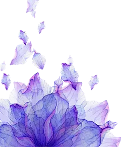 紫色水墨画 古风花png 唯美梦幻装饰素材