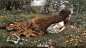 英国Edward Robert Hughes的唯美人物油画-4