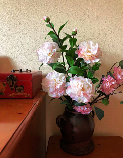 玖贰公子采集到花