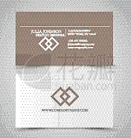 名片,模板,概念,创造力,商务,图像,矢量,蜘蛛网,文字,布置