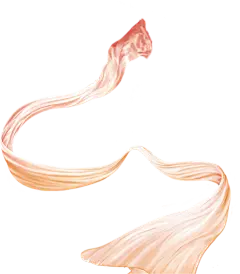 飘带