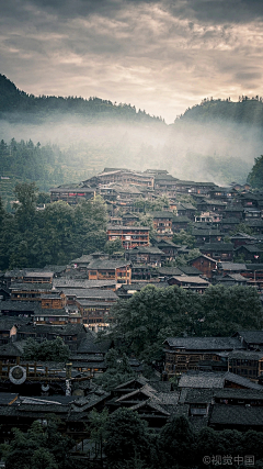 恋上紫菀花采集到风景