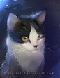 cat oreo by Apofiss