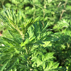 雨下听風采集到Ad.灵感