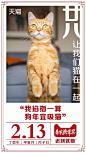 一文看懂：天猫狗年如何玩转“猫营销” : 地铁变身“猫奴车站”，喵的眼神已锁定你噜 近日全国多个地铁站，摇身一变成了“猫奴车站”。车站到处都是猫咪的大幅海报，有的猫以“主子”的眼神注视着你，有的猫则是懒洋洋地睡在沙发上。 海报文案也非常有趣，如