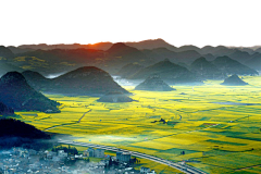 优选设计采集到使用场景 空间背景