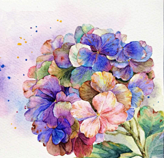 ·菩提心·采集到《植物绘》