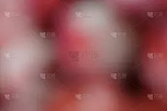 粉白模糊