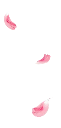桃花花瓣