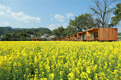 富川sz采集到田园景观