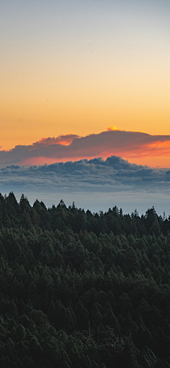 ᔆᵒʳʳᵞ·采集到风景/意境人物美图