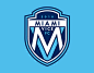 Miami Vice F.C. - Miami MLS Concept