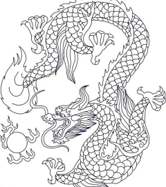 Baleiro_采集到插画