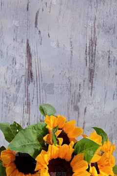 向日葵,垂直画幅,贺卡,复活节,情人节,花束,花蕾,植物,多年生植物