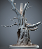 Tree  Highpoly