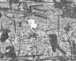 凹凸黑白贴图-高光遮罩-1949-美乐辰