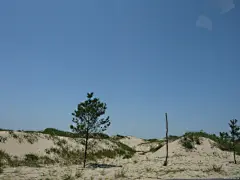 海城8264雪狼部落户外群自驾科尔沁草原作业帖21楼更新