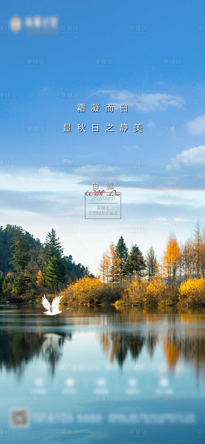 白露节气海报-源文件