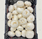 Portabello蘑菇。平的。孤立。