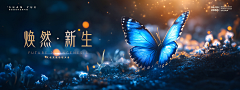 Smart先生采集到主视觉设计