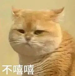 猫猫表情包/嘻嘻和不嘻嘻 - 小红书