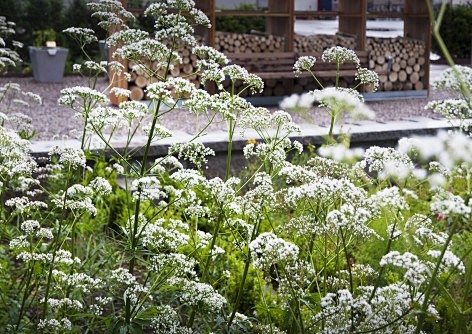 008-Physic Garden by...