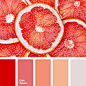 Color Palette | Paint Inspiration | Paint Colors | Paint Palette | Color | Design Inspiration |