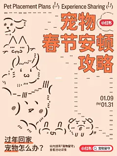 宠物春节安顿攻略｜过年回家宠物怎么办？