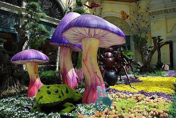 花园彩色蘑菇春季