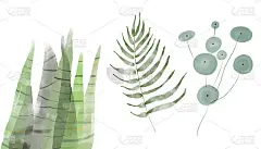 各种室内盆栽植物在波西米亚室内。适合园艺杂志，花店或家庭海报。插图。