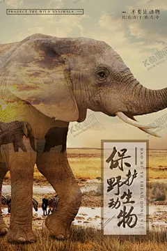 保护野生动物 【酷图网】保护野生动物,禁止吃野动物,禁止食用,野生动物,禁止捕杀,野生动物海报,禁食野生动物,禁吃野生动物,禁止食野味,严禁吃野味,禁止吃野味,禁止滥捕乱杀,野生动物广告,保护动物海报,禁止销售野生,动物海报,禁止捕食,野生动物宣传,展板,公益广告,禁止买卖野味