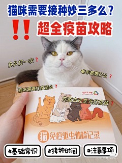 做我的猫呗采集到猫粮管家