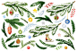 圣诞节卡通水彩手绘鲁道夫雪橇树星冬青礼物铃铛雪花卡片PNG素材-淘宝网