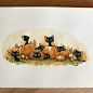 Little cats and pumpkins