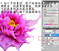 【PS教程】用PS合成花瓣飞溅的液体花朵图片 - Photoshop教程 Folieyunhttp://www.folieyun.com/portal.php?mod=view&aid=2211